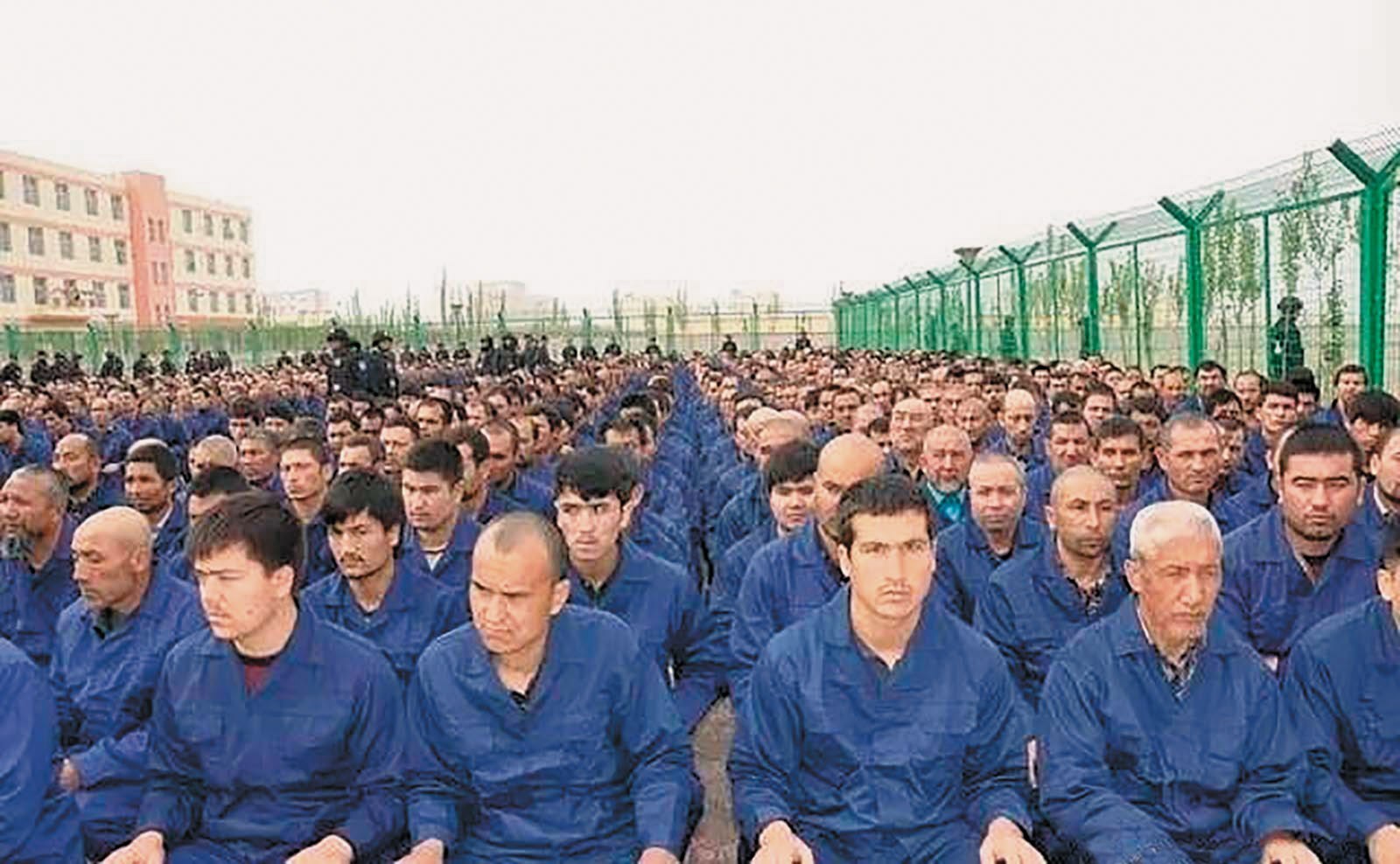 Uyghur Genocide