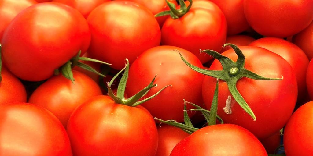 Japan's ketchup king halts Xinjiang tomato imports