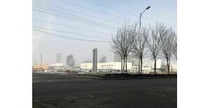 China Solar Giant to Hire Auditor as Xinjiang Scrutiny Grows