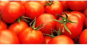Japan's ketchup king halts Xinjiang tomato imports